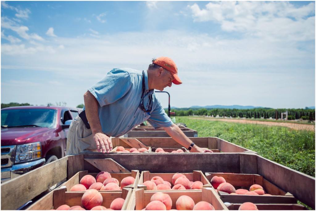 4P Foods: Mid-Atlantic Food Resilience and Access Coalition issued a $25,000 grant